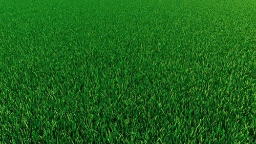 Gras-Hintergrund-Kamera Zwei