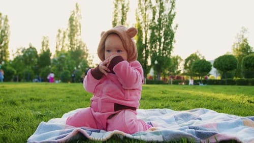 An Adorable Toddler Little Girl in a Pink Suit is Sitting on a Plaid Spread on the Green Grass in a