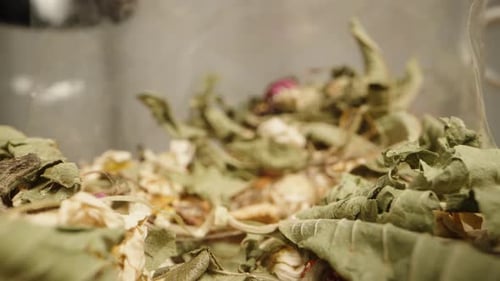 Macro Shot of Dried Flowers and Tea Infuser