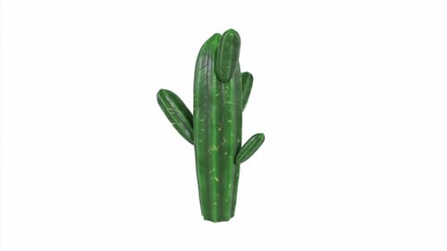 Vibrant Green Cactus on White Background