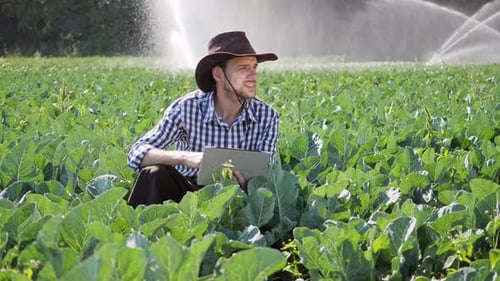 Farmer Using Digital Tablet During Monitoring His Plantation
