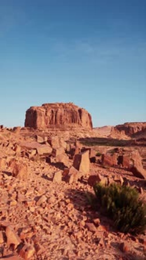 Arid Nevada Desert Landscape With Rocks and Plants