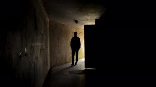 Shadow figure walks into dark military bunker.