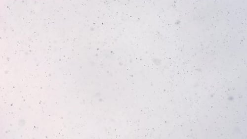 4K Schnee