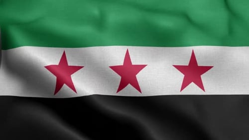 Realistic Waving Flag with Green White Black Stripes and Three Red Stars