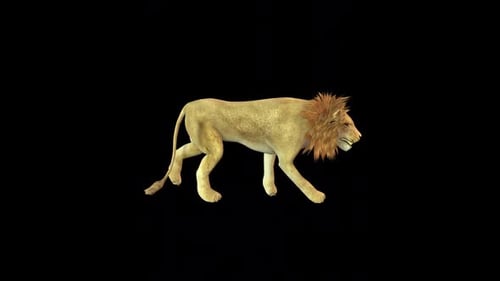 Segunda edición de Lion Walk 2