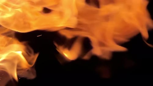 Intense Flames Flicker on Black Background
