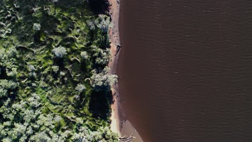 Aerial View of a Lush Forest Meeting a Brown River