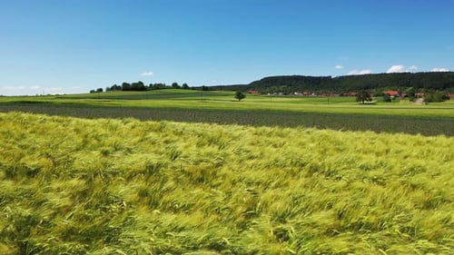 Vista aérea de campos agrícolas verdes e terras agrícolas