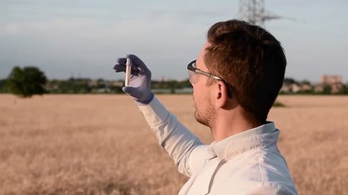 Scientist Inspects Test Tube in Wheat Field