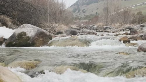 Mountain River Flowing Between Rocky Shores Summer Mountain River in Wood Water and Stones Slow