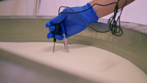 Un employé mesure la température du lait pasteurisé dans une cuve d'une fromagerie