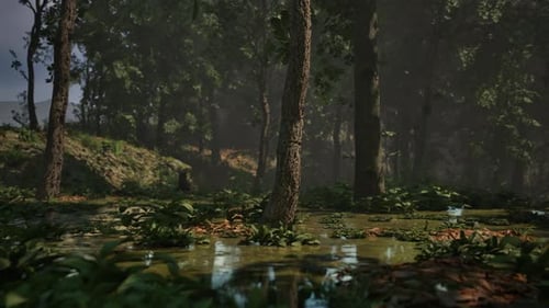 Mystic Foggy Swamp with Trees