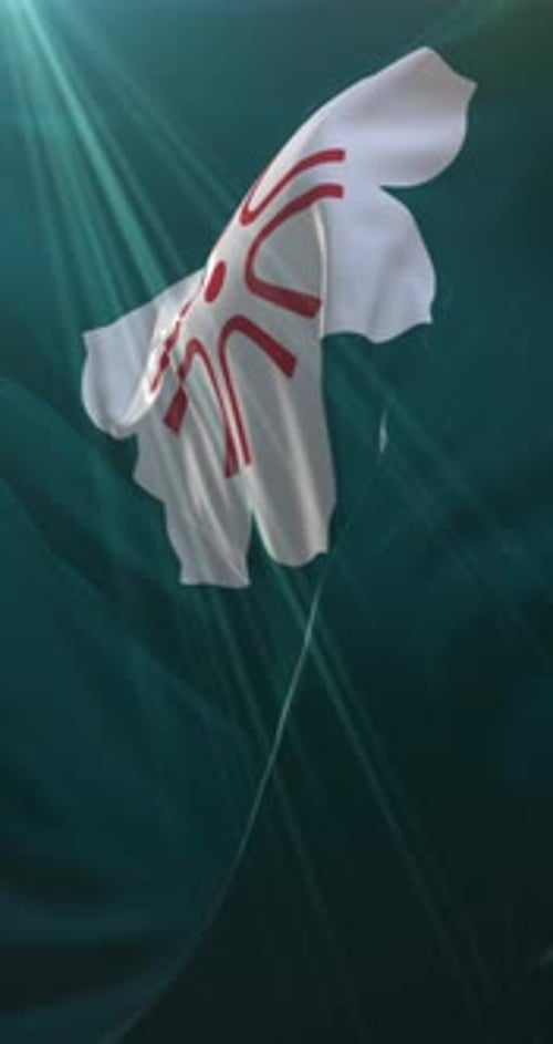 Animated Waving Fabric with Abstract Symbols Collection