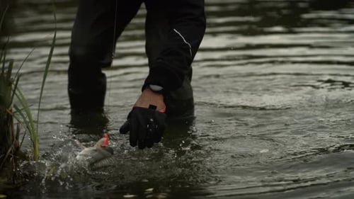 Fisherman Catches Fish in Lake