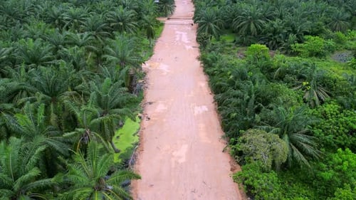 Aerial move over red clay soil path