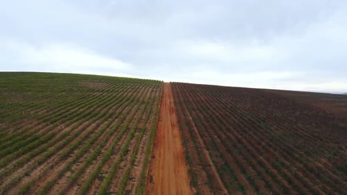 A cultivated field in the countryside