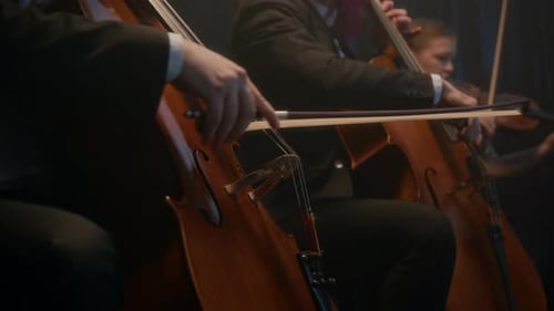 String Orchestra Performing Live on Stage