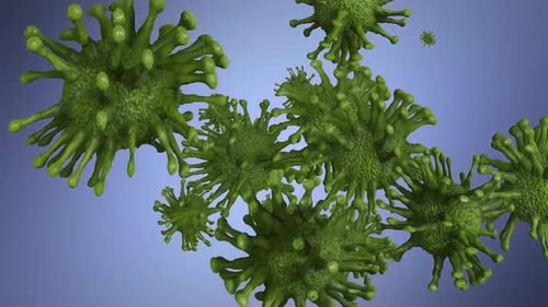 Animated Microscopic Organisms in Medical Background