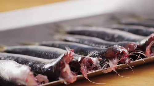 Chef Cooking Fresh Sea Sardines and Anchovy Fish and Mullus Salted Fermented Fish On Display On Ice