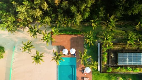 Aerial View Revealing Luxurious Tropical Resort Featuring Turquoise Pool Sunbeds Umbrellas Green