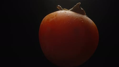 Persimmon covered with water droplets, rotating on a black background, close-up. She appears out of