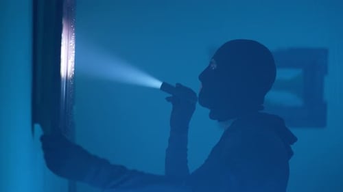 Thief Inspects Painting in Dark Gallery