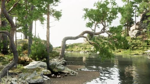 A Serene Tree By the Water's Edge