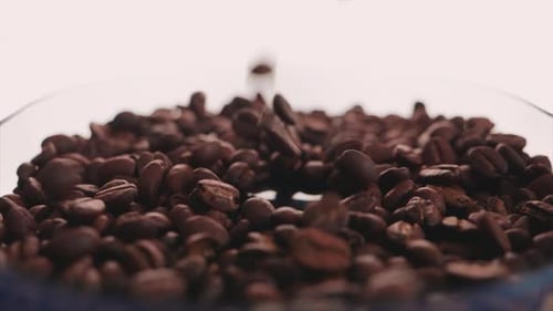 Close Up Of Coffee Beans Falling In Heap - macro shot