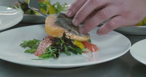 Chef Plates Gourmet Salmon and Citrus Salad
