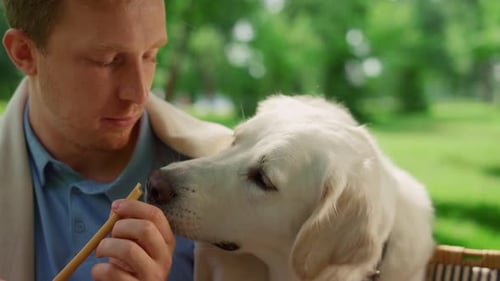Closeup Attractive Man Feeding Cute Dog on Picnic in Sunny Forest. Charming