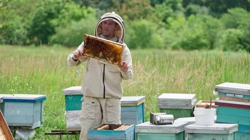 Beekeeper holding beehive frame. Farmer holds the frame in hands.