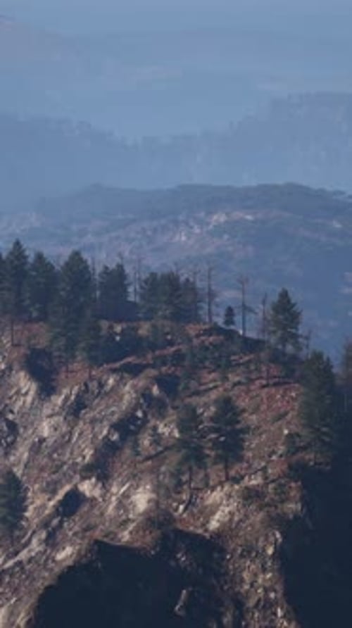Tatras Mountains Covered By Green Pine Forests