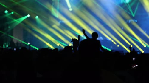 Energetic Concert Crowd Enjoying Music Performance