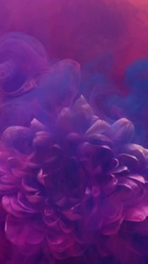 Pink and Blue Ink Swirls in Water