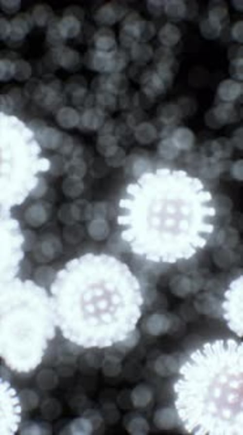 Virus Cells or Bacterias Under Microscope