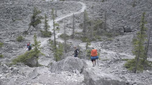 Mountain Trail Walk with Friends