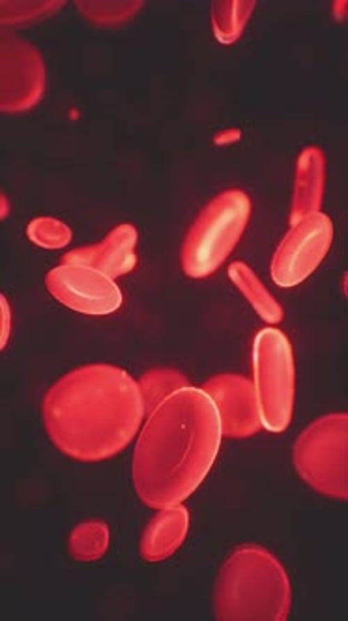 Healthy Human Red Bloodcells Abstract Concept