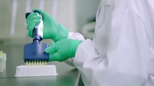 Scientist or researcher holding multi channel pipette transferring Solution Samples into 96 well