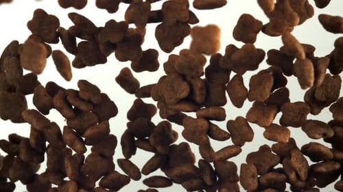 Dog Food Flies Up and Down Filmed on a Highspeed Camera at 1000 Fps