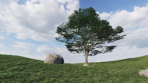 The Tree Stands In The Field