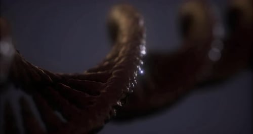 Exploring DNAs Intricate Structure Design and Function