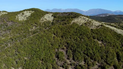 Lush vegetation of mountain slopes with trees forest, coastline washed by calm clear green deep wate