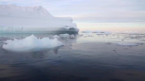 Icebergs Floating in the Frigid Antarctic Ocean