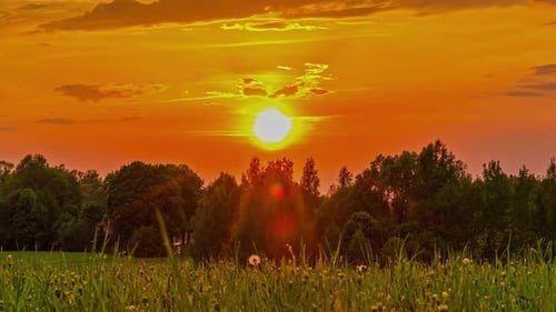 Landscape View Of Lush Green Field Bounded With Trees Under Colorful Sunset Sky. - Medium Shot, Stat