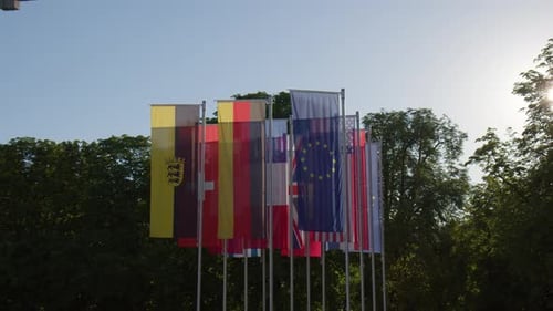 Collection of National and Organizational Flags Waving
