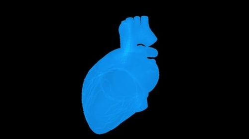 Human Heart Beating 4K Rotating Seamless Loop on Black with Luma Matte