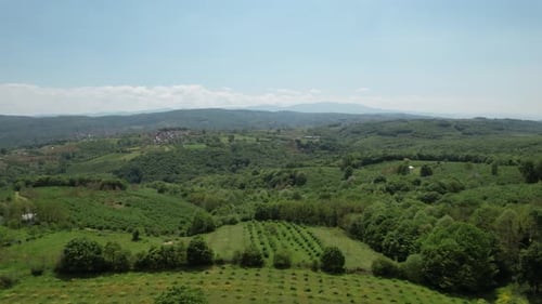 Farmland Near Village