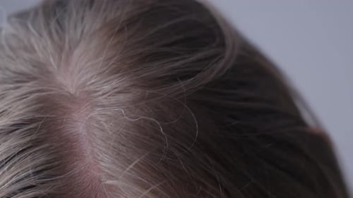 Close up of Part in Shiny Light Brown Hair