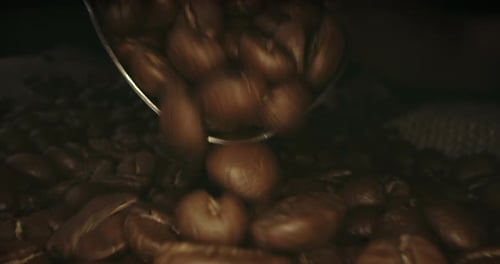 Pouring Roasted Coffee Beans, Close Up